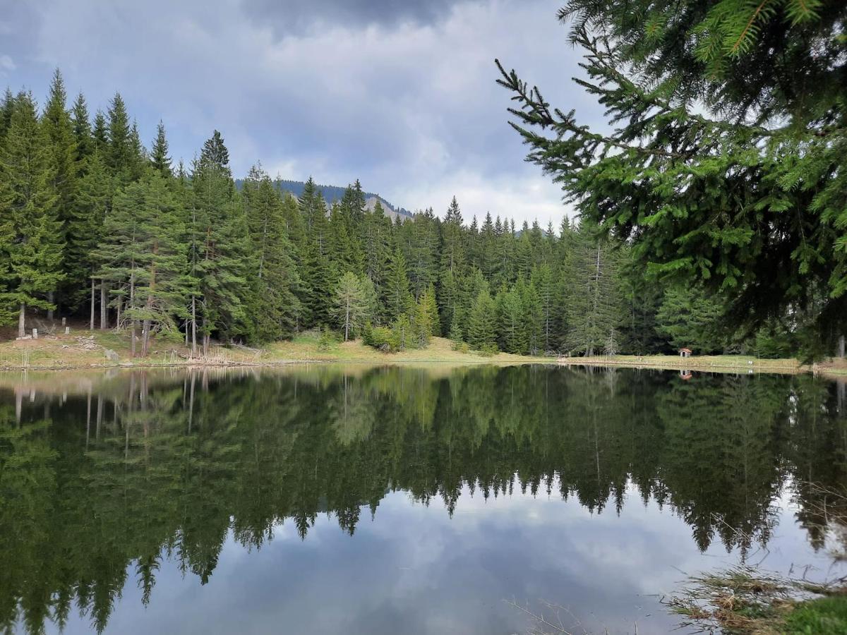 Утро Без Аларма, Смолянски Езера. Alarm Free Morning Smolyan Lakes المظهر الخارجي الصورة